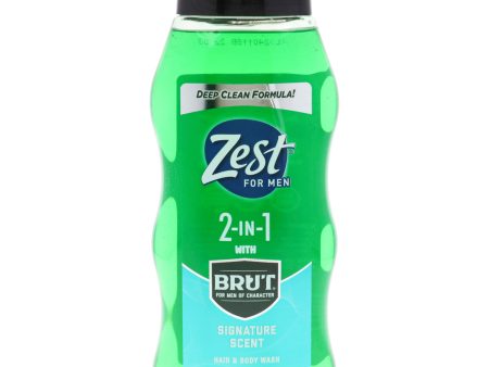 2-in-1 Hair and Body Wash - Signature Scent by Zest for Men - 20 oz Body Wash Hot on Sale