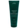 Botanical Repair Strengthening Conditioner by Aveda for Women - 6.7 oz Conditioner Online