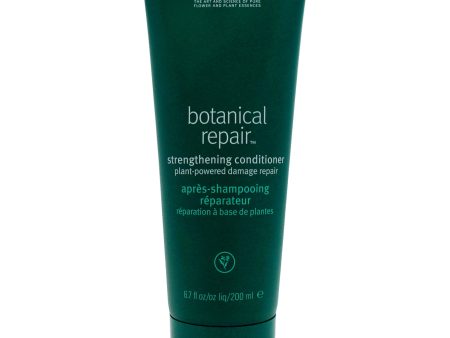 Botanical Repair Strengthening Conditioner by Aveda for Women - 6.7 oz Conditioner Online