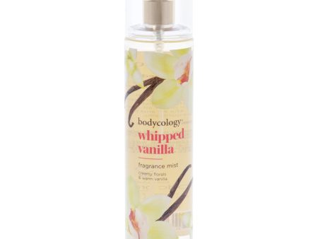 Whipped Vanilla by Bodycology for Women - 8 oz Fragrance Mist Online now