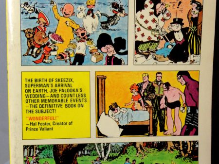 The COMICS History of COMIC STRIPS, Popeye, Tarzan, Buck Rogers Alex Raymond, Pogo, Little Nemo,Milton Caniff, Tintin, Disney,Krazy Kat, Barney Google Online Hot Sale