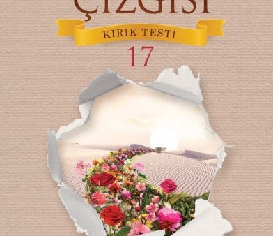 Kirik Testi 17 - Istikamet Cizgisi on Sale