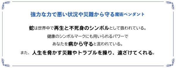 病魔・災難を寄せ付けない 魔術ペンダント エビルスピリット Online