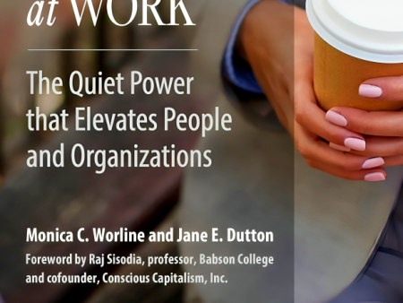 Awakening Compassion at Work: The Quiet Power That Elevates People and Organizations Cheap