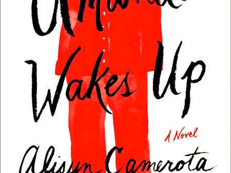 Amanda Wakes Up: A Novel For Discount