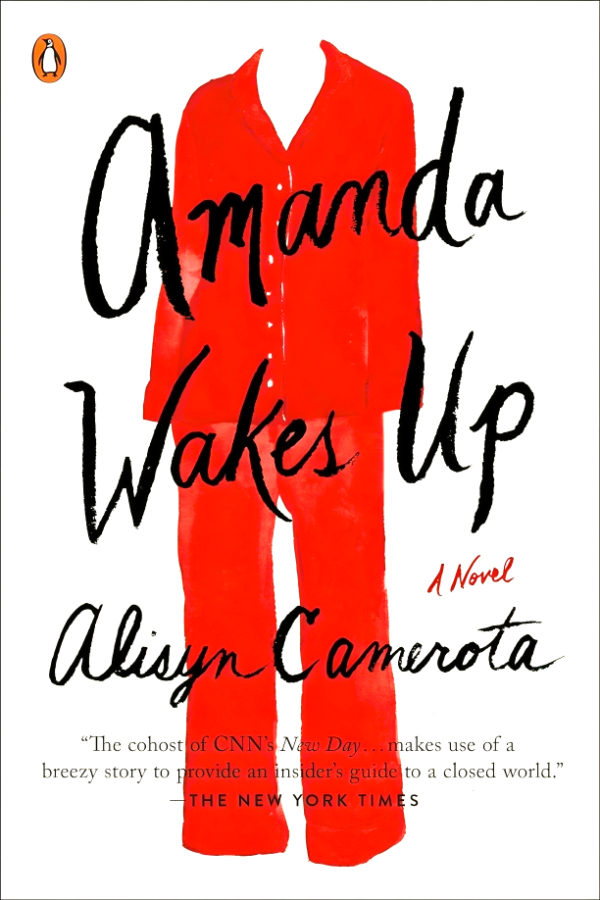 Amanda Wakes Up: A Novel For Discount