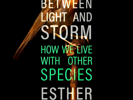 Between Light and Storm: How We Live With Other Species Online Hot Sale