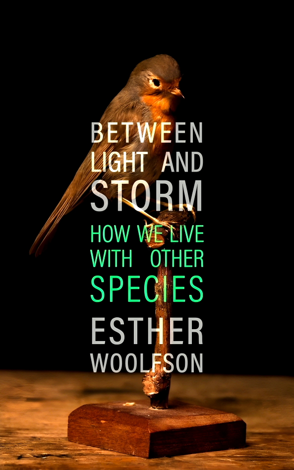 Between Light and Storm: How We Live With Other Species Online Hot Sale